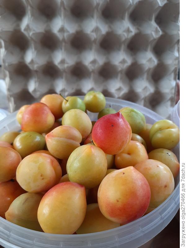 Вот такая в итоге получилась.