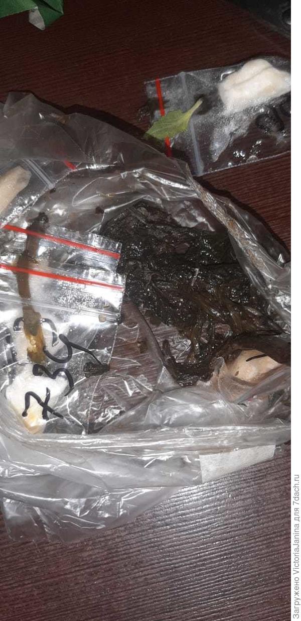 Кучка компоста