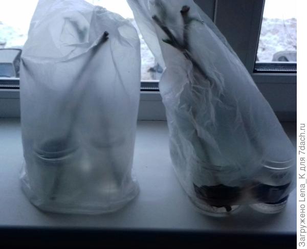 Под пакетами