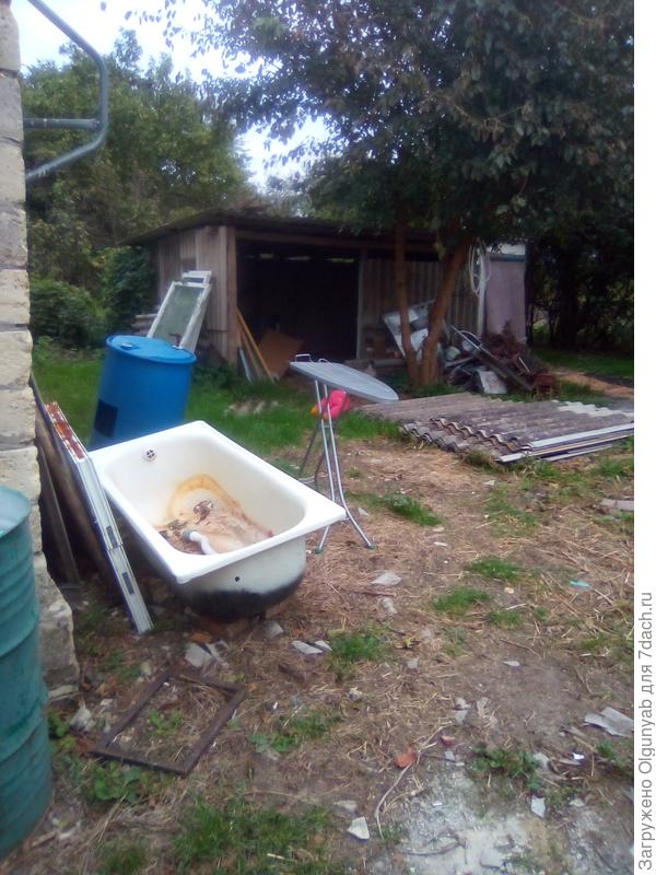 Сарай и туалет планирую оставить . Септик под шифером. Мощение отсутствует