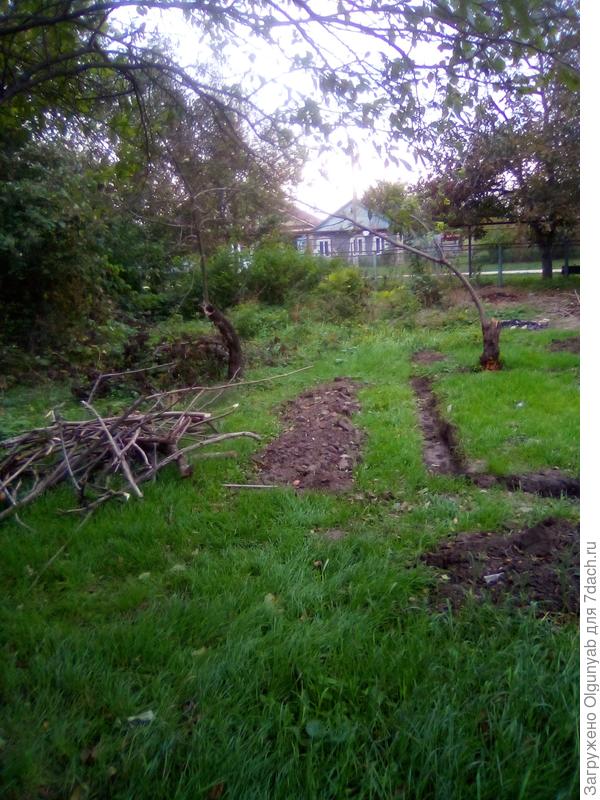 Территория за летней кухней