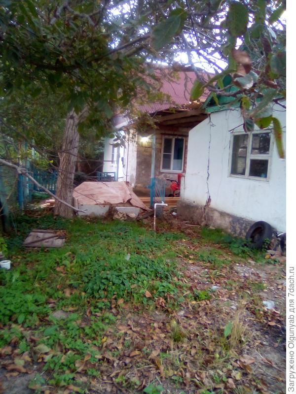 Перед летней кухней водопровод . Орех остаётся (крупный,сортовой и очень вкусный)