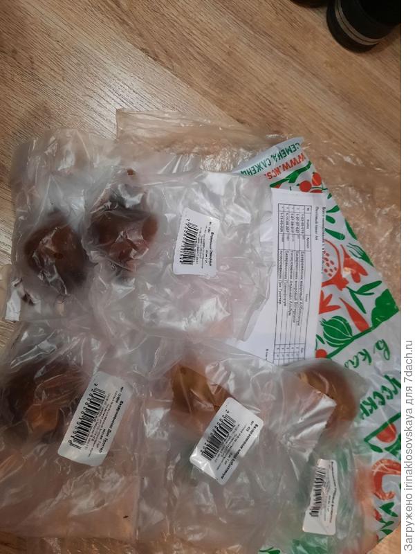 безвременники