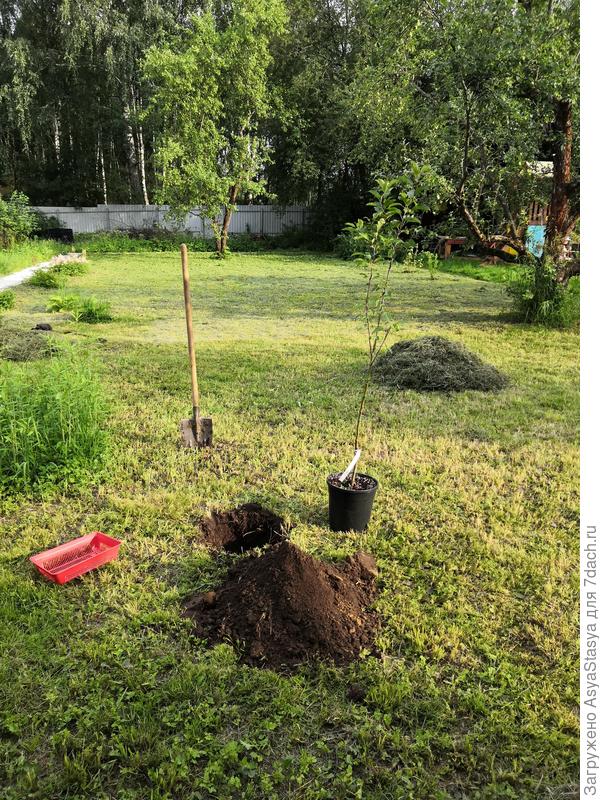 Ближе к вечеру, вид примерно с того же места