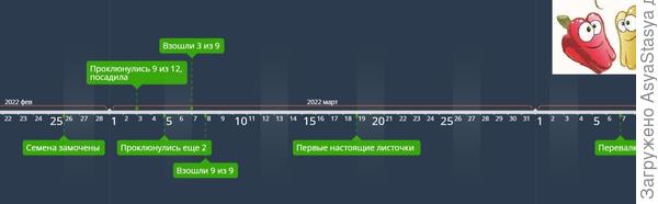 вот что происходило)