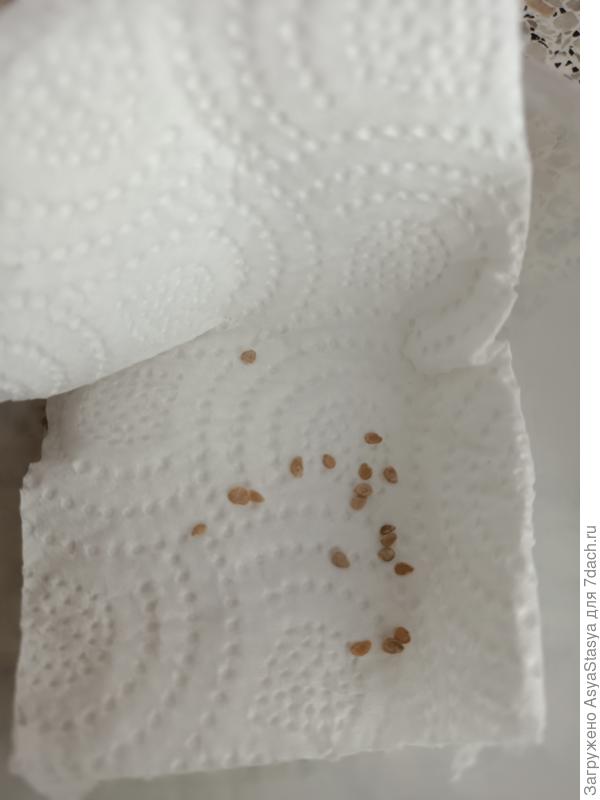 готовимся замачивать