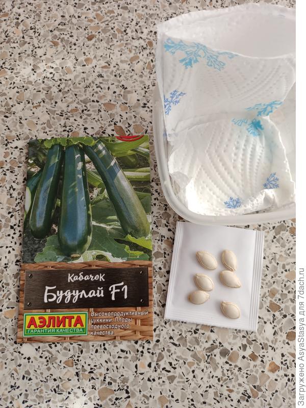 Все 6 семян