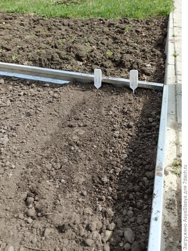 Вот и посадили