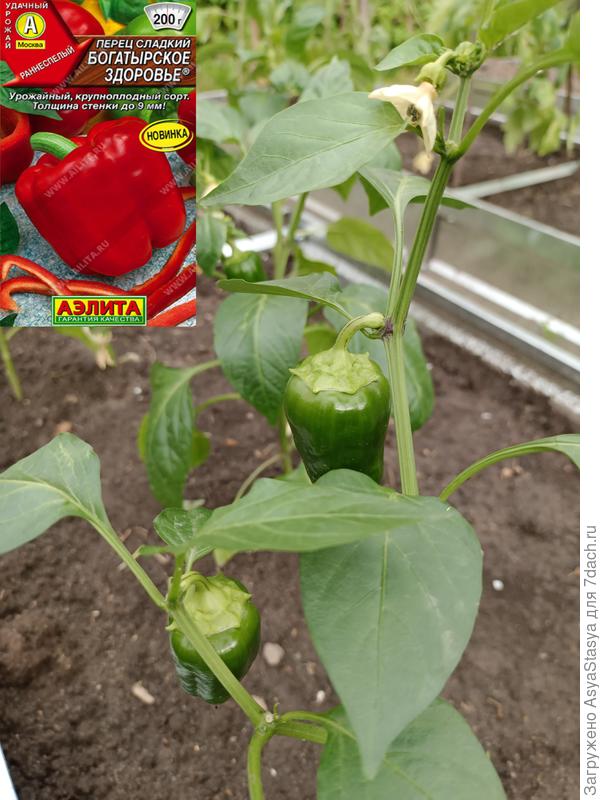 03.06, самочувствие отличное