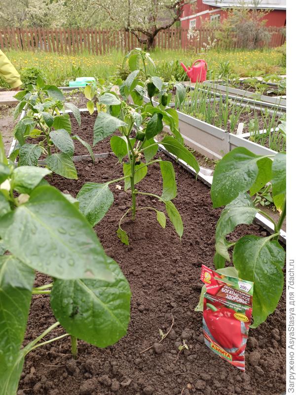 31.05 - вот и переехали!