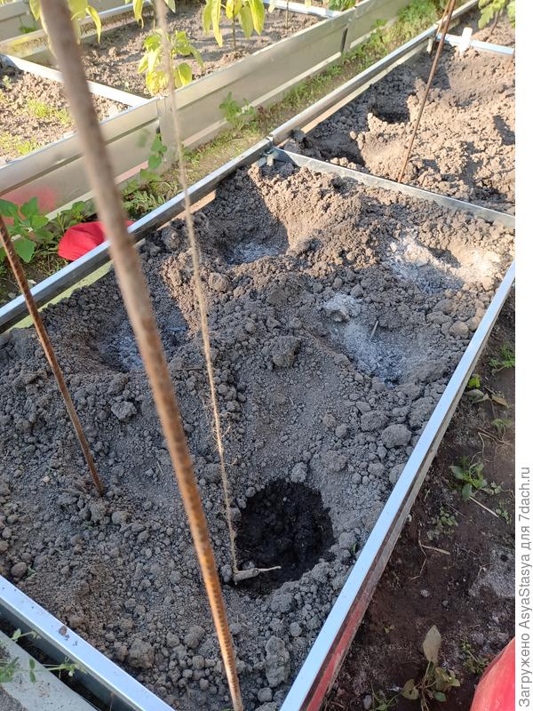 грядка ждет!