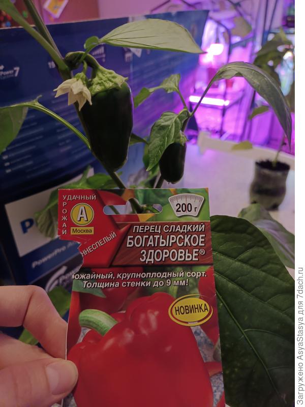 30.05, день до пересадки