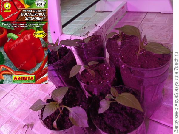 сразу после перевалки