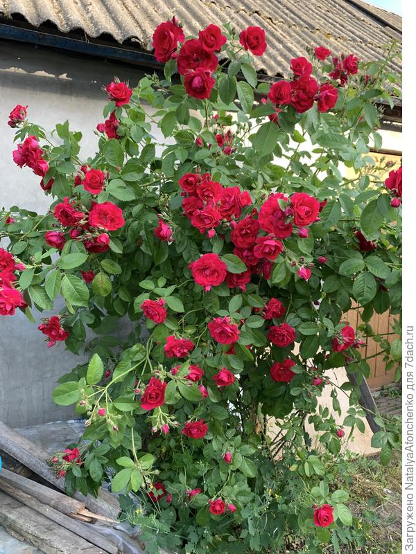 Вот такая ещё есть