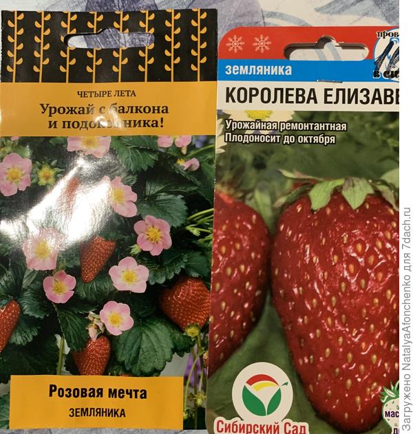 Эти буду в январе сеять