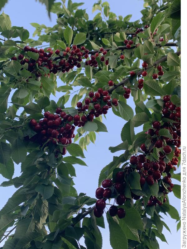 Красиво… Вкусно.