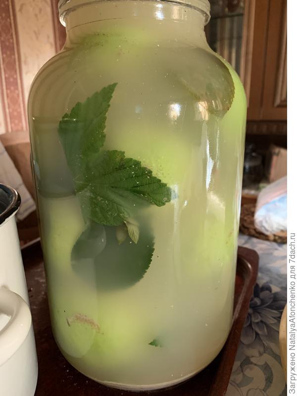 Лучший запах у яблок с солодом, мёдом, мятой.