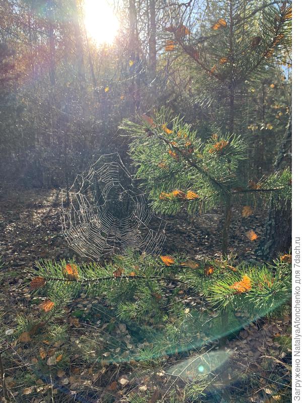 Осенний воздух