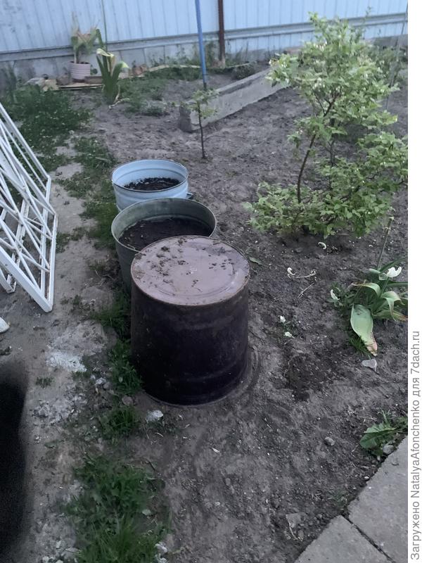 Готовим тару для огурчиков