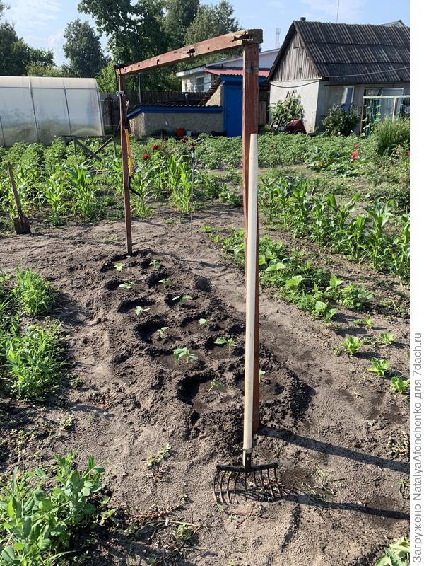 Опоры мы делать совсем не умеем