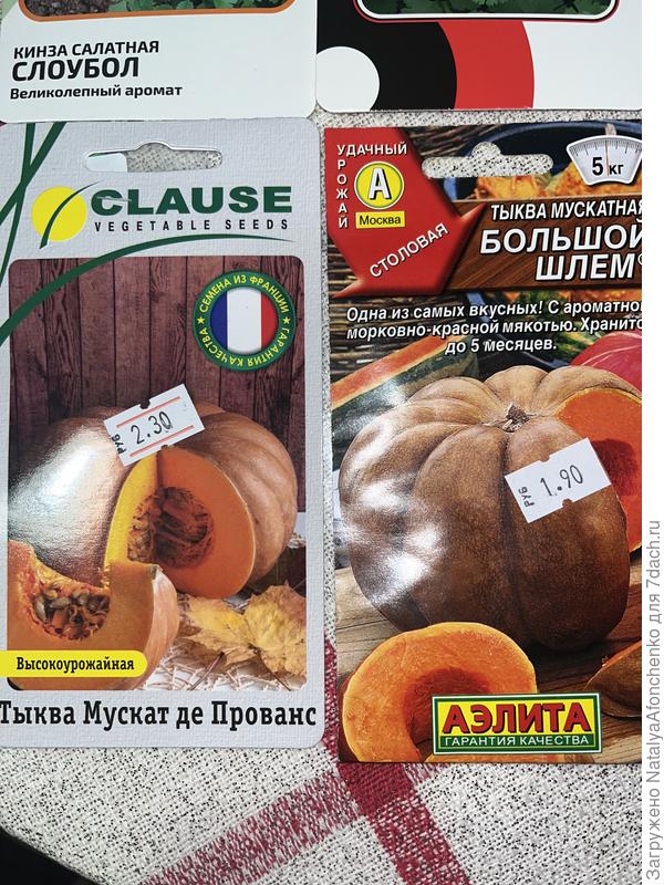 Купила еще тыкв, ищу сорт, который купила 20 лет назад на рынке у дедушки, но пока все мимо, должен быть супер сладкий.