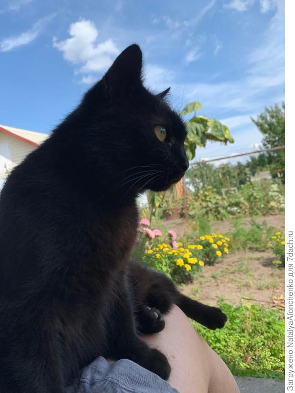 Маруська 2023