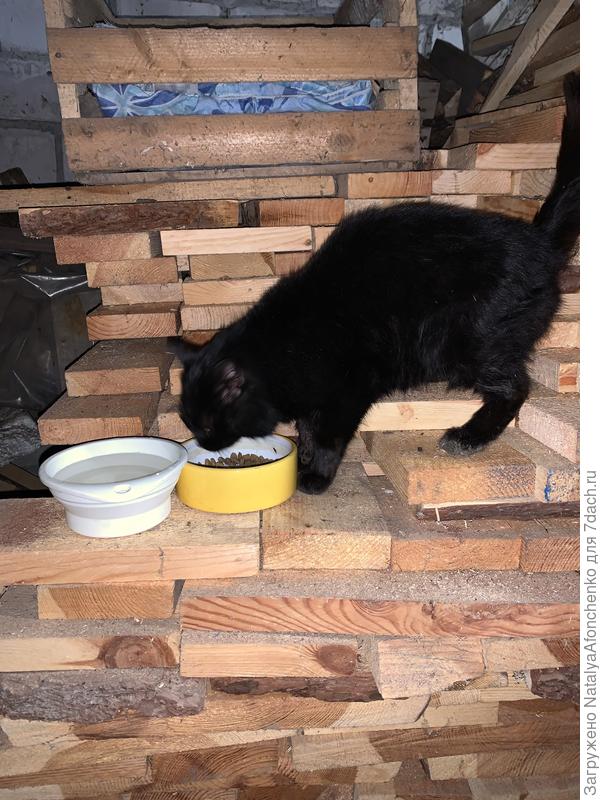 Маруська 2022