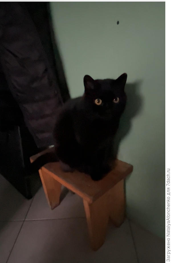 Маруська 2024