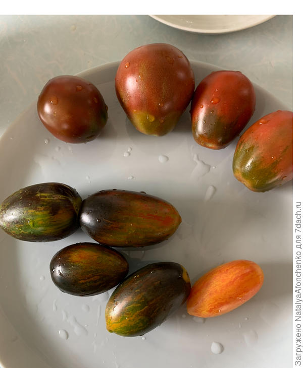 На фото томат шоколадный, атомный виноград бреда ( его повторю в 2025, в этом не садила), и крем брюлле( любимчик)