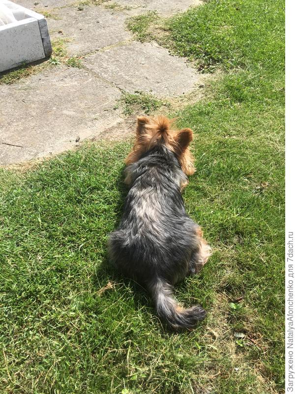 Анжи больше нету …