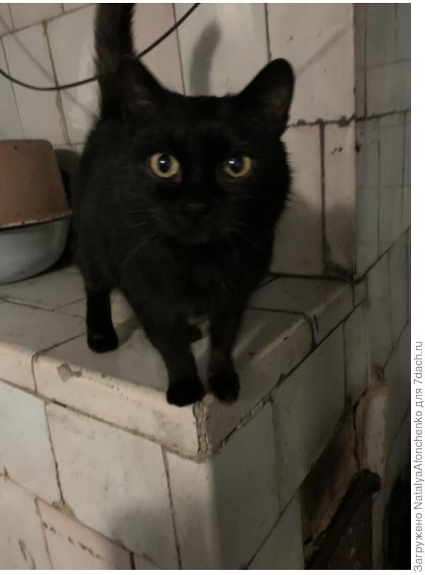 Это еще когда в бане жила