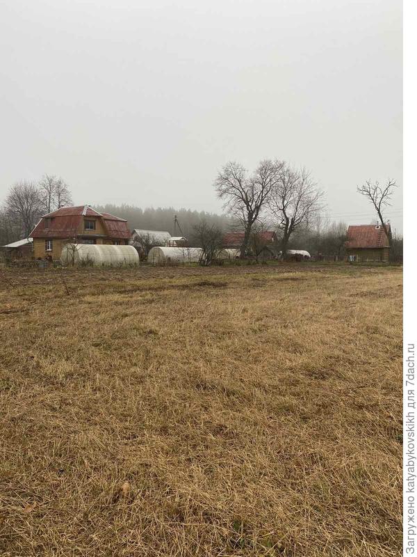 вид с конца участка налево