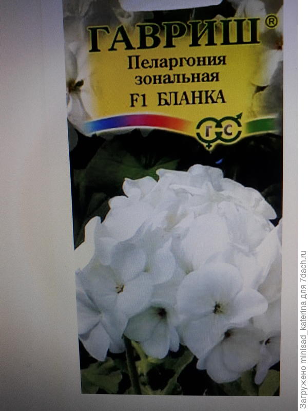 Семена