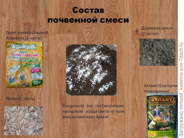 Почвогрунт