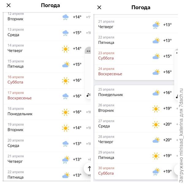 Погода после посева (архив Яндекс погода)