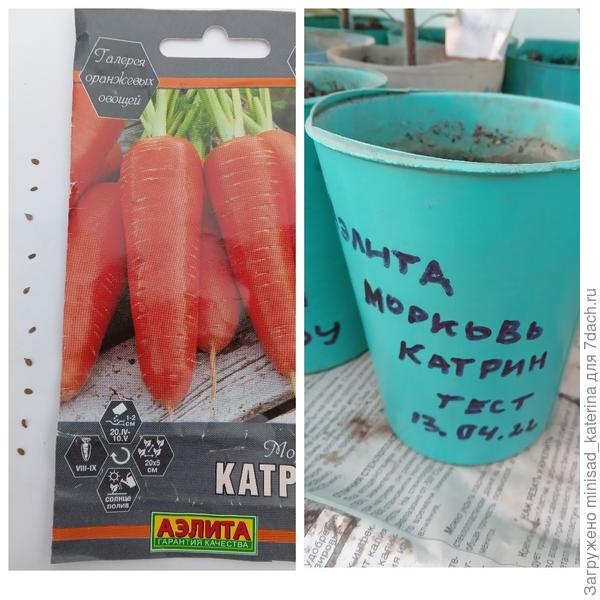 Тест на всхожесть