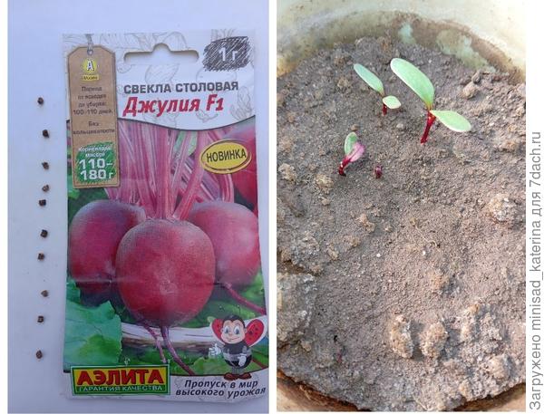 Тест на всхожесть