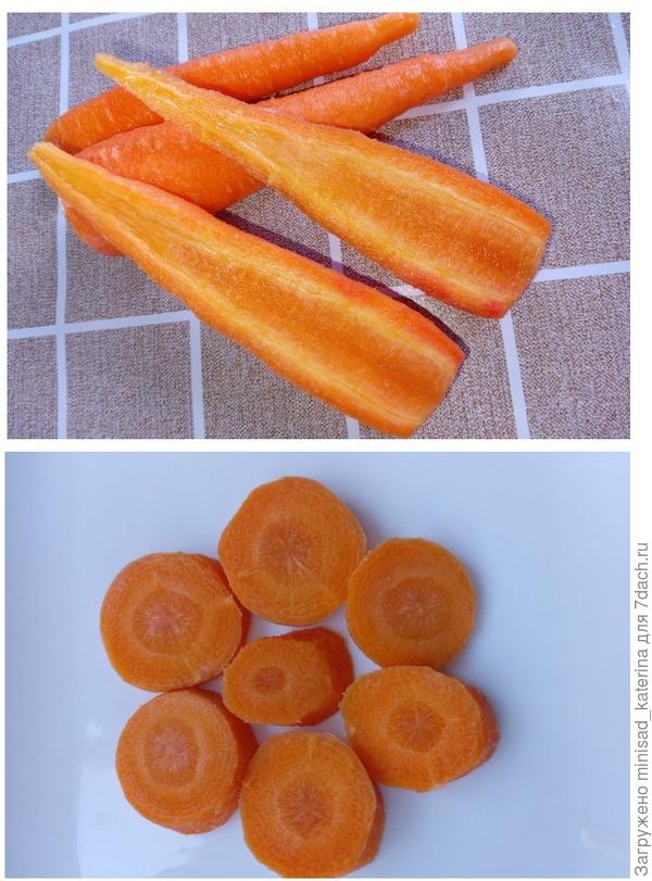 Морковь в разрезе