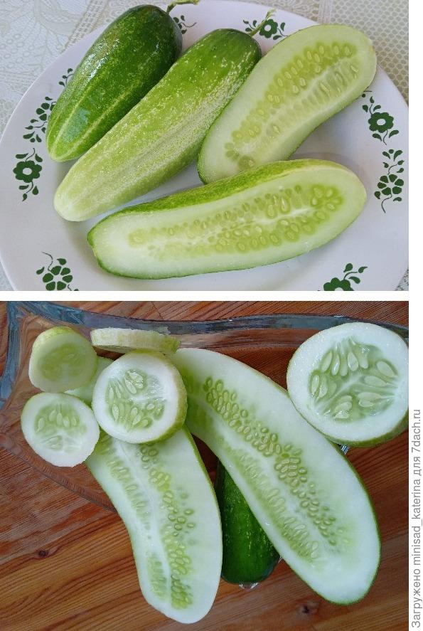 Плоды в разрезе