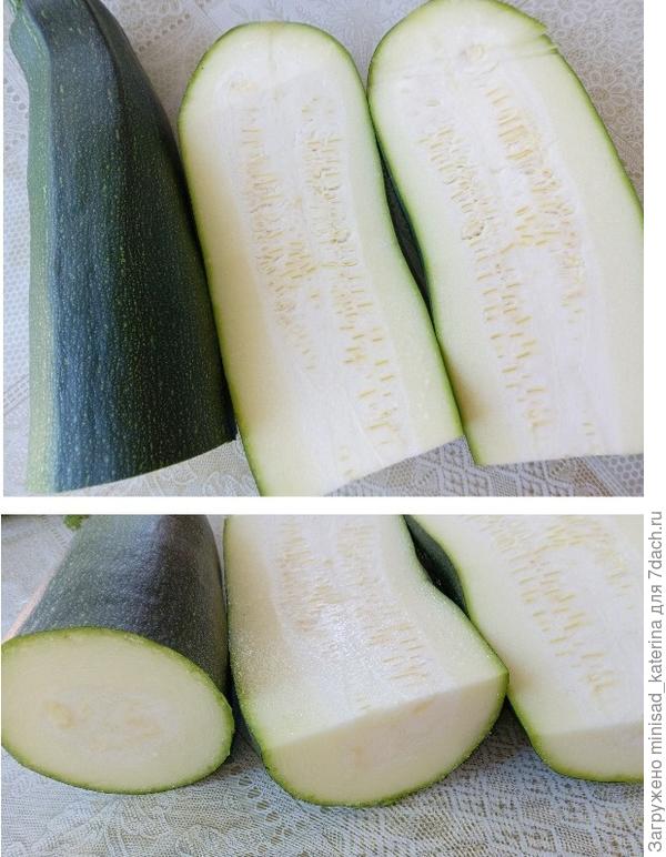 Кабачок в разрезе