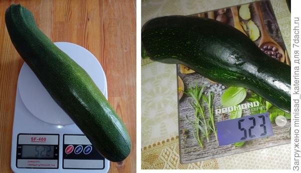 Вес кабачков
