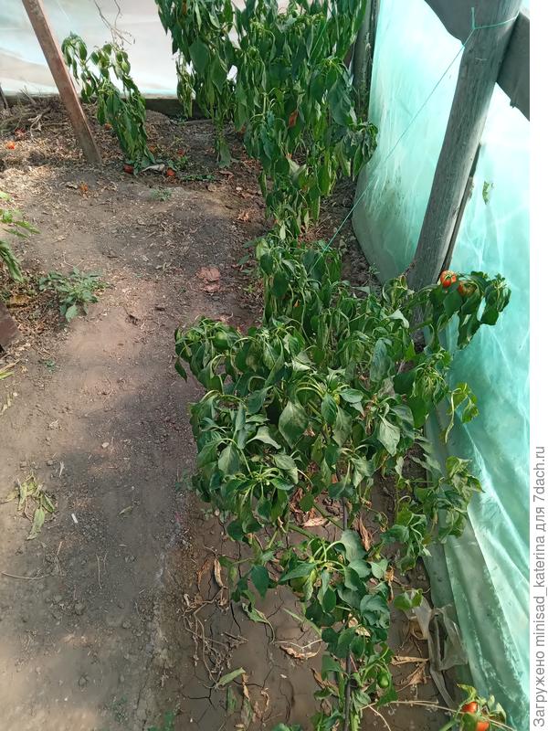 Конец тестирования