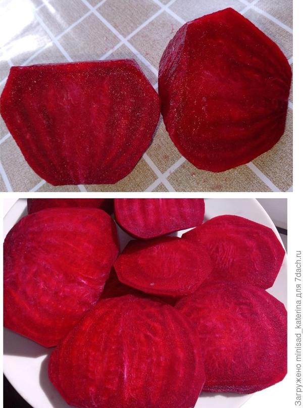 Свекла в разрезе