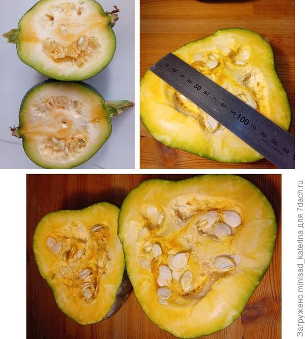 Плоды в разрезе