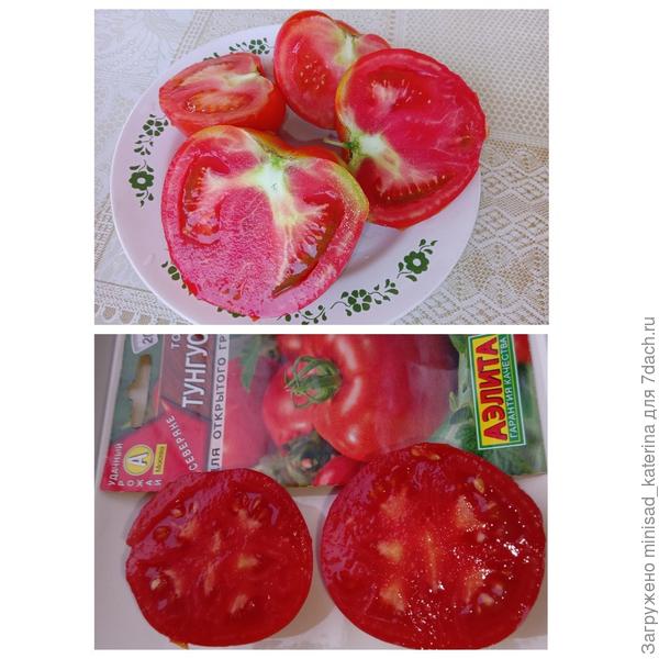 Плоды в разрезе