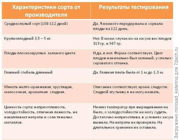 Результаты тестирования