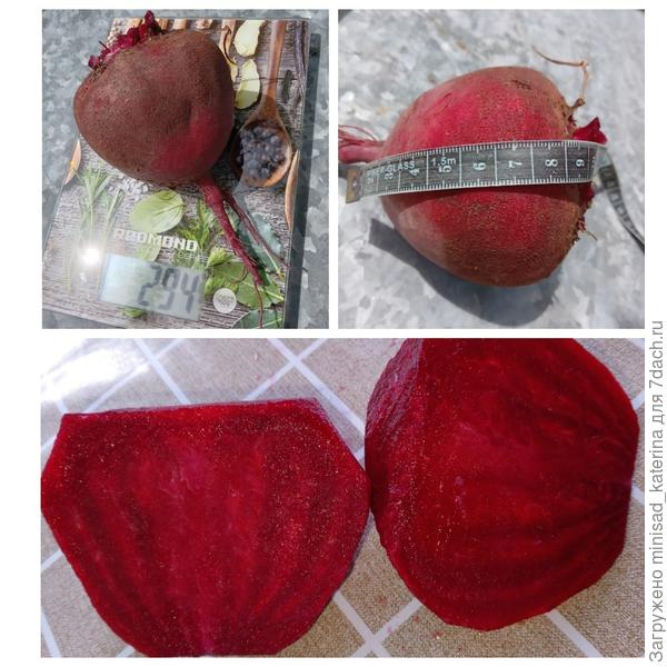 Корнеплоды