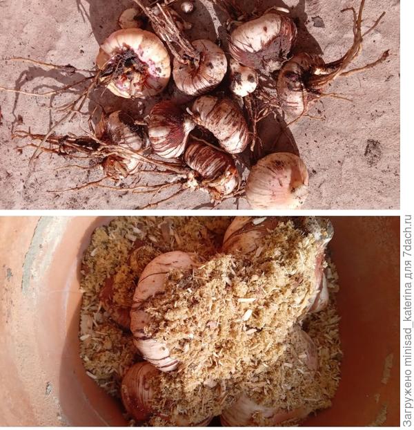 Пересыпание песком с опилками