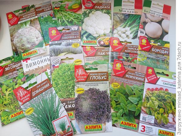 Семена зеленых культур