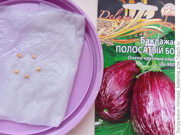 Замачивание семян